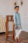 POWDER BLUE INDO WESTERN